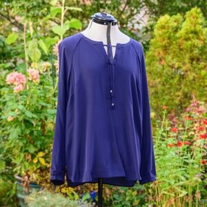 Daniel Rainn NWOT Blue Silk Long sleeve drawstring neck blouse w/tassels